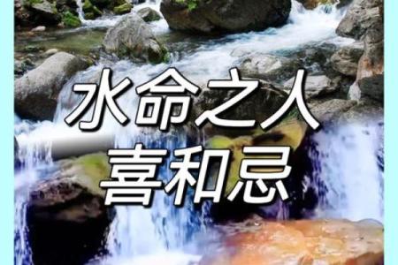 水命人适合发展的专业与职业选择指南