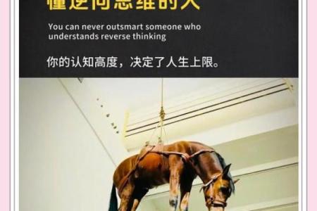 1921年的命格：人生的转机与发展机遇