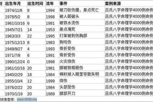 1994年属什么命？揭秘1994年出生人的命理特点与运势