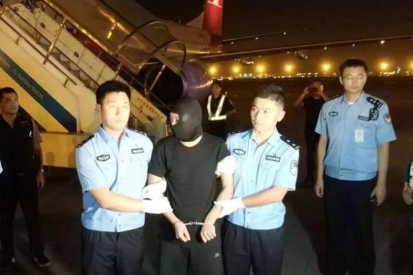 揭示股市背后的秘密：明蒙面狗的投资命运!