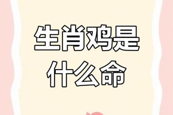 30多岁的鸡是什么命？探寻中年鸡的命运与啼鸣！