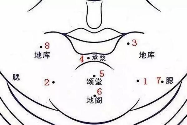 下巴的痦子究竟暗示了什么样的命理特征？解读下巴痦子与命运的秘密