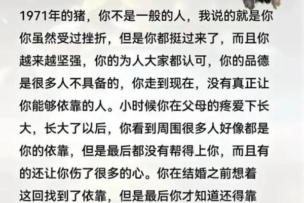 1994年猪的命运与性格特征：探寻热情与智慧的结合