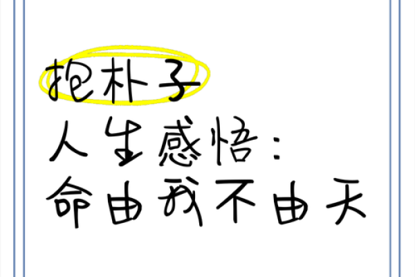 假命缘何成命运之子，探寻背后的故事与启示
