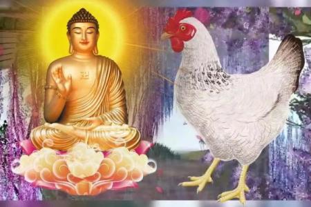 深入解析生肖属鸡的命理与人生智慧