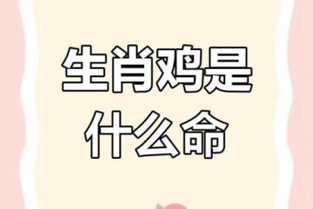 30多岁的鸡是什么命？探寻中年鸡的命运与啼鸣！