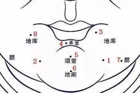 下巴的痦子究竟暗示了什么样的命理特征？解读下巴痦子与命运的秘密