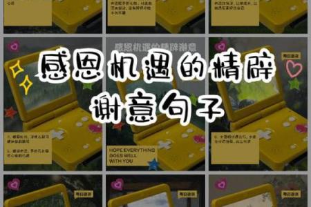 命里不缺的人：如何迎接生活中每一份馈赠与机遇