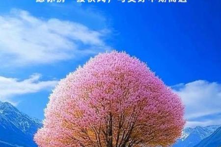 换过命的深刻含义与生活启示，人生重新书写的可能性
