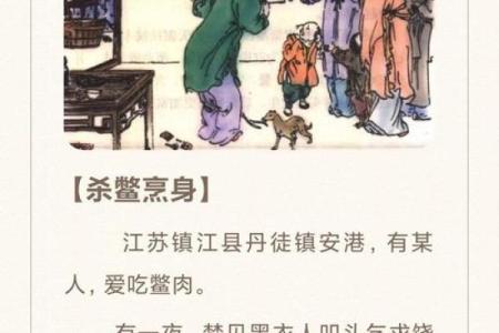 假命缘何成命运之子，探寻背后的故事与启示