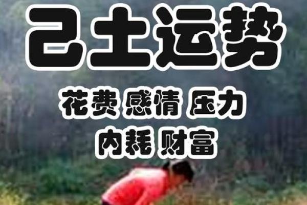 癸卯年：探寻命理背后的智慧与启示