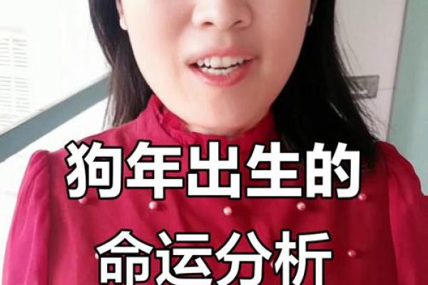 2023年属狗人的命运分析与运势走向