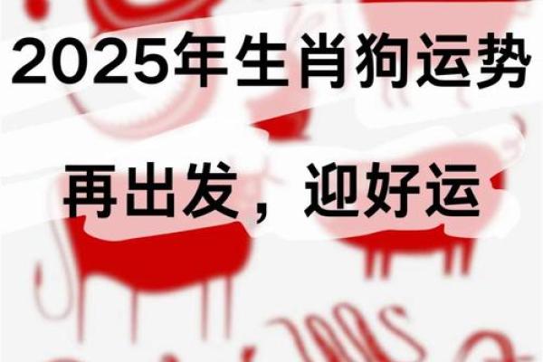 2023年属狗人的命运分析与运势走向