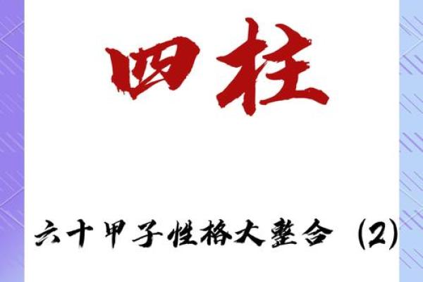 2006年是什么命：揭秘六十甲子的神秘与奥秘