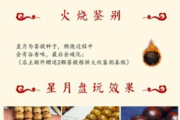 水命之人最适合的菩提选择与佩戴指南