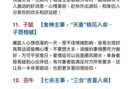 1955年出生的属什么命？探索其命运与个性特点