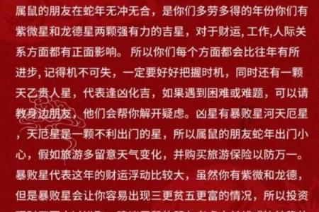 2010年生肖鼠解析：命运与性格的深度剖析