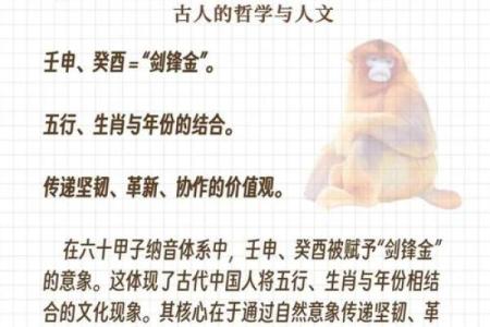 2006年是什么命：揭秘六十甲子的神秘与奥秘