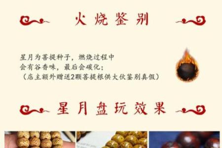 水命之人最适合的菩提选择与佩戴指南