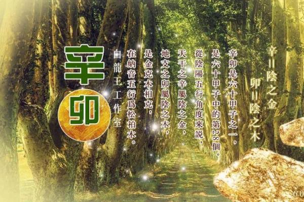 探索半夜出生女命的神秘与独特人生轨迹