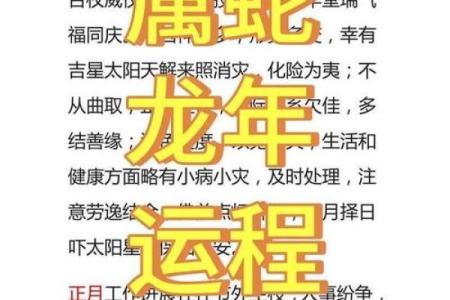 属蛇人的命运与职业选择：智慧与稳健的结合之道