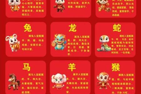 如命的真实含义与生肖的深刻联系