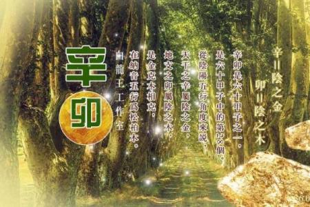 探索半夜出生女命的神秘与独特人生轨迹