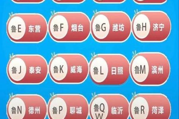水命人适合选择的车牌号码解析与推荐