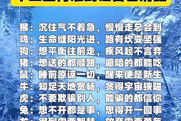 探秘24虚岁属牛人的命运及性格特征