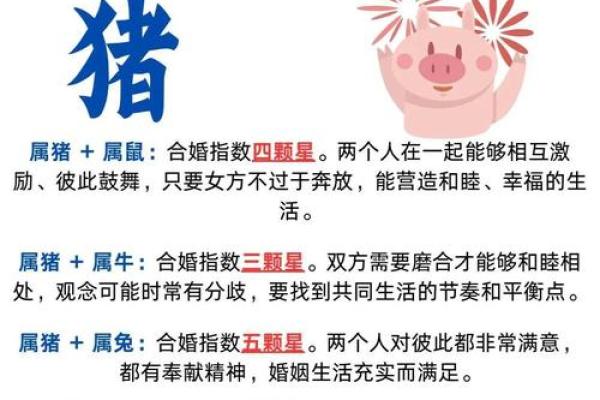 属猪的哪些年龄最具幸运与命运优势？