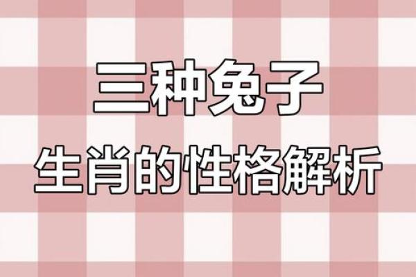 1927年属相命运解析：探索兔年与人生的奇妙联系