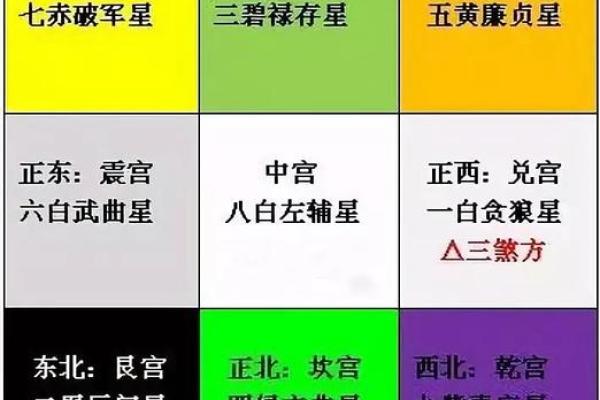 己亥日出生者的命理解析：独特命格与人生之路