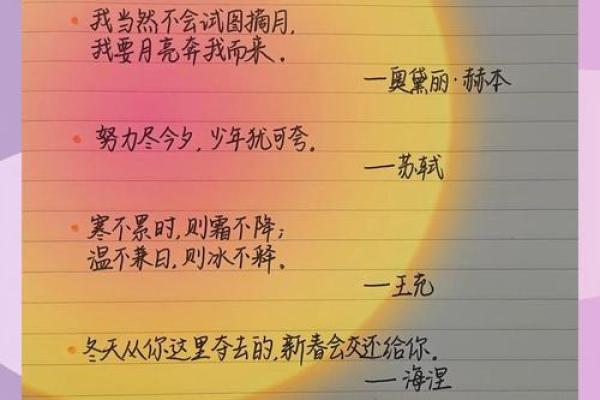 1995年12月出生的女性命运解析：星辰背后的故事与人生轨迹