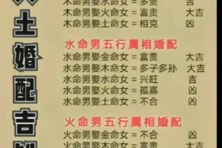 2000年金命解析：了解你的命运与性格特征