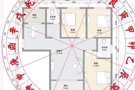 火命客厅风水布局：五大必备元素详解