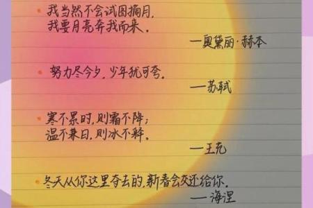 1995年12月出生的女性命运解析：星辰背后的故事与人生轨迹