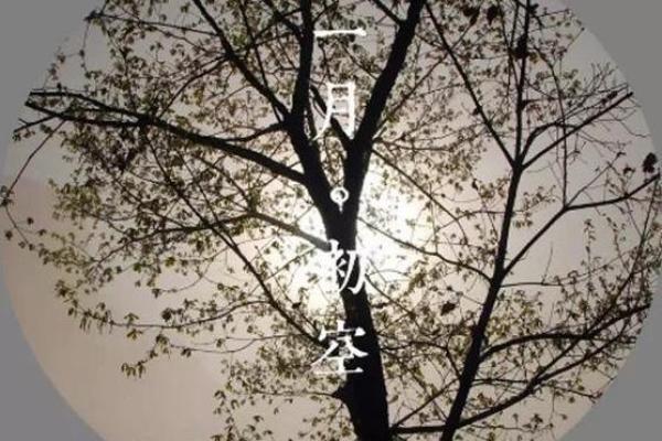 探索2月26日出生者的命运与性格特征