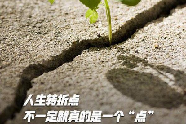2021年五月，命运的转折点：如何把握命运的机会与挑战