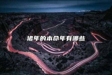 1959年：猪年人命运与个性之解读