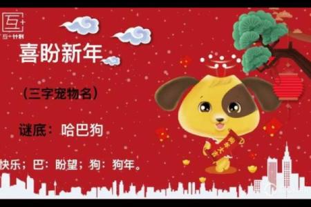 2023年狗年：探秘土命狗的命理特点与生活哲学
