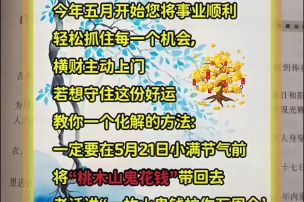属兔人2011年命缺什么？带你揭开命运的秘密！