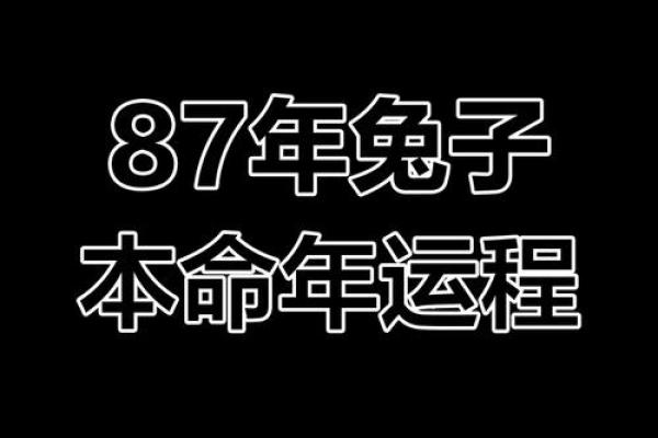 属兔人2011年命缺什么？带你揭开命运的秘密！
