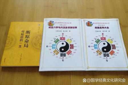 命理学入门书：探秘古老智慧，揭示命运奥秘
