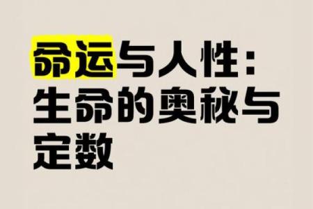 探寻命理奥秘：命运、性格与人生的奇妙关系