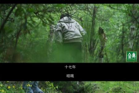 乞丐命运之下，动物的启示与共鸣