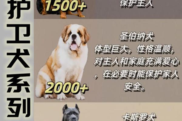 炉中火命者适合养哪些宠物？探寻合适伴侣的魅力之旅