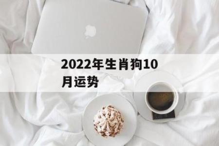 探秘2018年属狗生肖命理：性格特质与事业运势解析