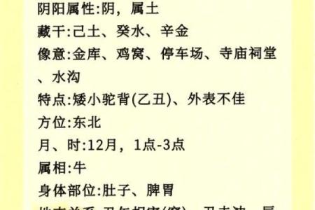 1996年腊月出生的人命理解析：月令与五行的奥秘