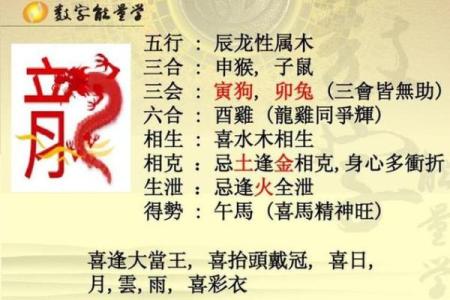 探秘1977年出生的人：生肖与命理的深刻影响