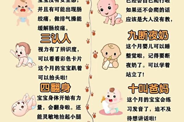 2018年阴历11月出生的宝宝：命运与性格解析，适合的职业与发展方向